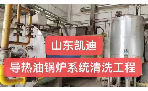河北唐山30吨导热油锅炉系统整体清洗