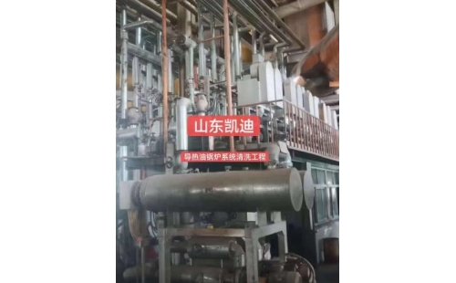 2023年7月9日河北香河25吨导热油锅炉系统整体清洗结束